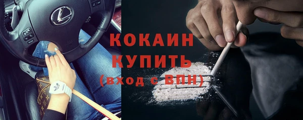 соль ск Горно-Алтайск