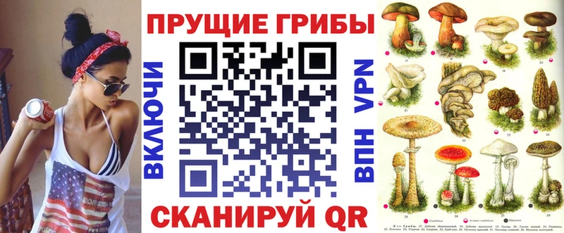 Купить Княгинино Галлюциногенные грибы мицелий