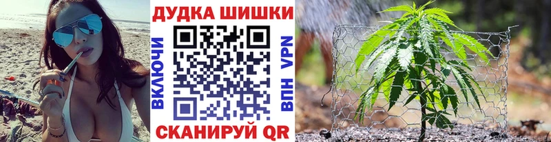 Бошки Шишки White Widow  Купить закладки  Княгинино 